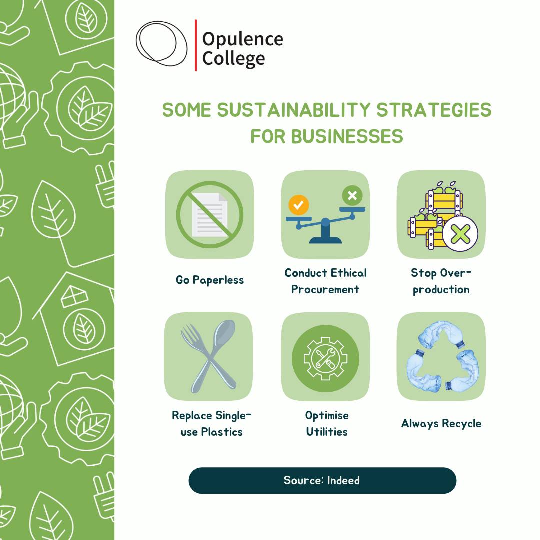 Some Sustainability Strategies for Businesses